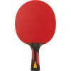 Ракетка для н/т DOUBLE FISH 7A+C, для професс.,ITTF Appr.,накл.2,1мм,+ 2 мяча V40+мм ITTF Appr за 3&nbsp;559.80 ₽ купить в Саранске