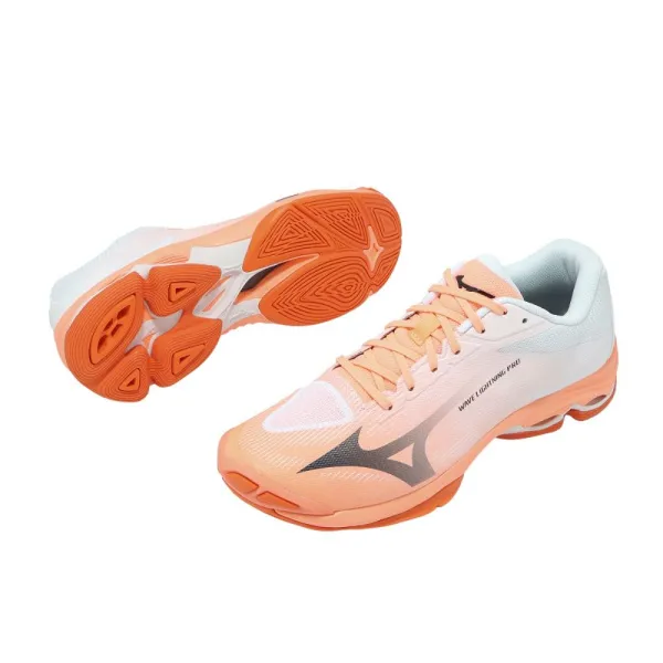V1GA2660-80 5