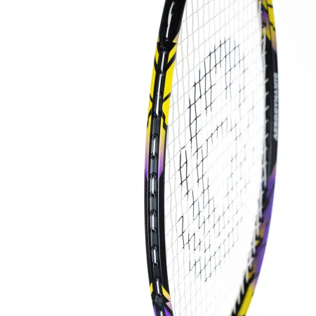 Ракетка бадм. TORRES Carbon PRO6, BD20521,для продв., стерж/обод из карбона,со струнами, фиол за 4&nbsp;477.80 ₽ купить в Саранске