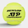 Мяч теннисный Dunlop ATP Championship 4B, 601627, уп.4ш, одобр. ITF, нат.резина,фетр. за 1&nbsp;242.70 ₽ купить в Саранске