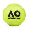 Мяч теннисный Dunlop Australian Open, 601601, уп..3 шт, одобр.ITF,фетр,нат.резина, желтый за 1&nbsp;171.30 ₽ купить в Саранске