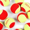Мяч теннисный детский NS Red, 5021009, уп.12 шт, резина, шерть, нейлон, желто-красный за 2&nbsp;941 ₽ купить в Саранске