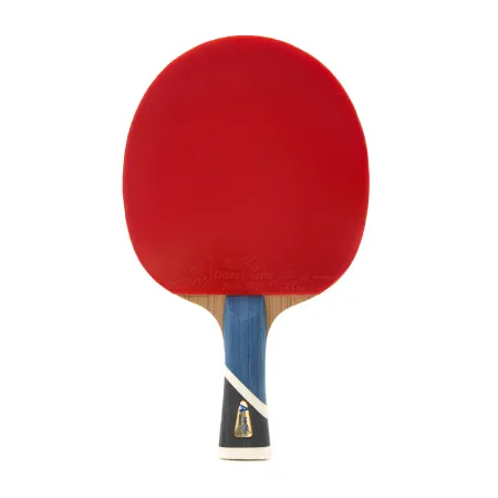 Ракетка для н/т DOUBLE FISH 5A+C, для продвин, ITTF Appr, накл. 2,1 мм, конич. ручка+ 2 мяча V40+мм за 2&nbsp;779.50 ₽ купить в Саранске