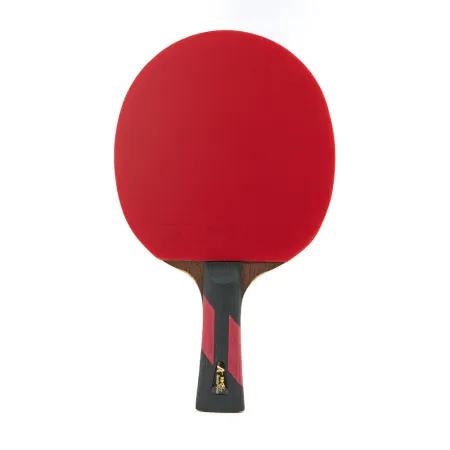 Ракетка для н/т DOUBLE FISH 7A+C, для професс.,ITTF Appr.,накл.2,1мм,+ 2 мяча V40+мм ITTF Appr за 3&nbsp;559.80 ₽ купить в Саранске