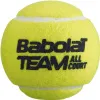 Мяч теннисный BABOLAT Team All Court,502081, уп.4 шт,одобр.ITF, сукно, нат.резина,желтый за 2&nbsp;385.10 ₽ купить в Саранске