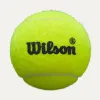 Мяч для падела Wilson Premier Padel Speed, WR8908501001, уп.3 шт, FIP Appr.,сукно, нат.резина,желтый за 1&nbsp;235.90 ₽ купить в Саранске